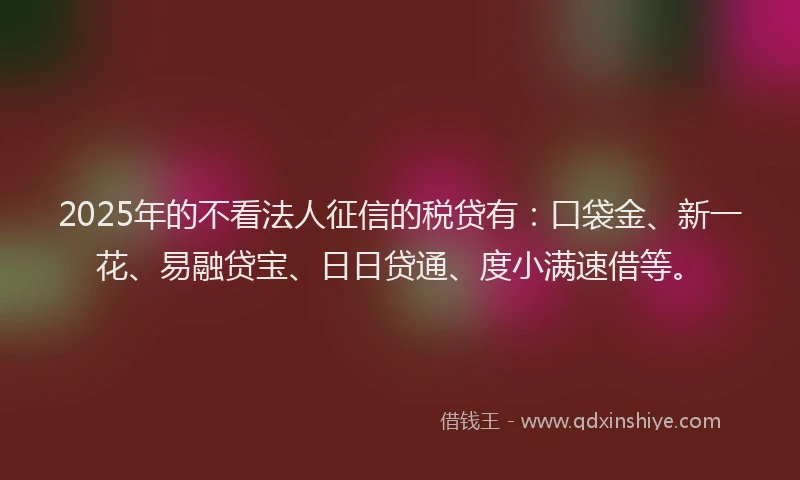 2025年的不看法人征信的税贷有：口袋金、新一花、易融贷宝、日日贷通、度小满速借等。