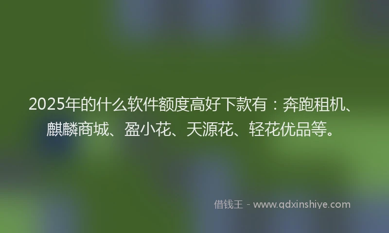 2025年的什么软件额度高好下款有：奔跑租机、麒麟商城、盈小花、天源花、轻花优品等。