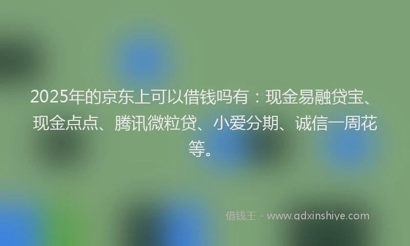2025年的京东上可以借钱吗有：现金易融贷宝、现金点点、腾讯微粒贷、小爱分期、诚信一周花等。