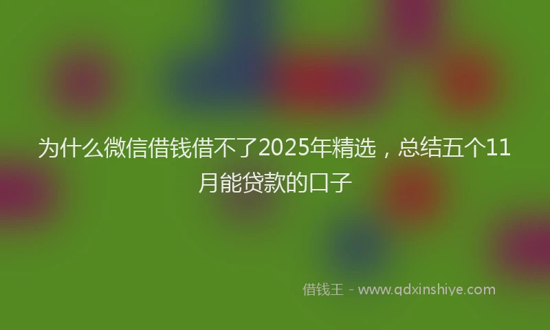 为什么微信借钱借不了2025年精选，总结五个11月能贷款的口子