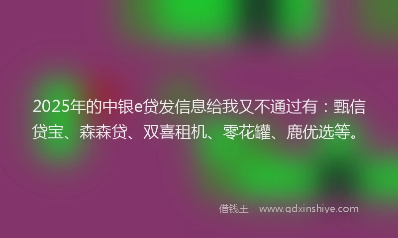 2025年的中银e贷发信息给我又不通过有：甄信贷宝、森森贷、双喜租机、零花罐、鹿优选等。