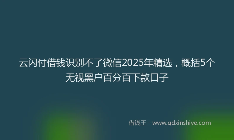云闪付借钱识别不了微信2025年精选，概括5个无视黑户百分百下款口子