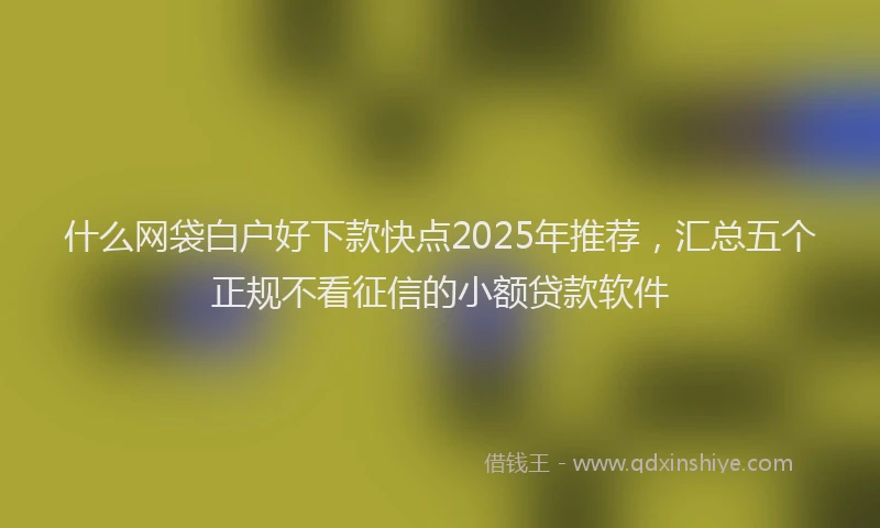 什么网袋白户好下款快点2025年推荐，汇总五个正规不看征信的小额贷款软件