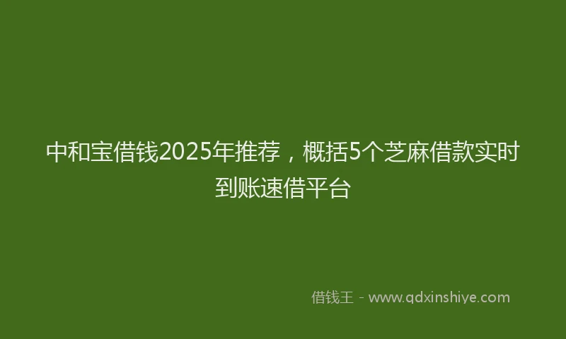 中和宝借钱2025年推荐，概括5个芝麻借款实时到账速借平台