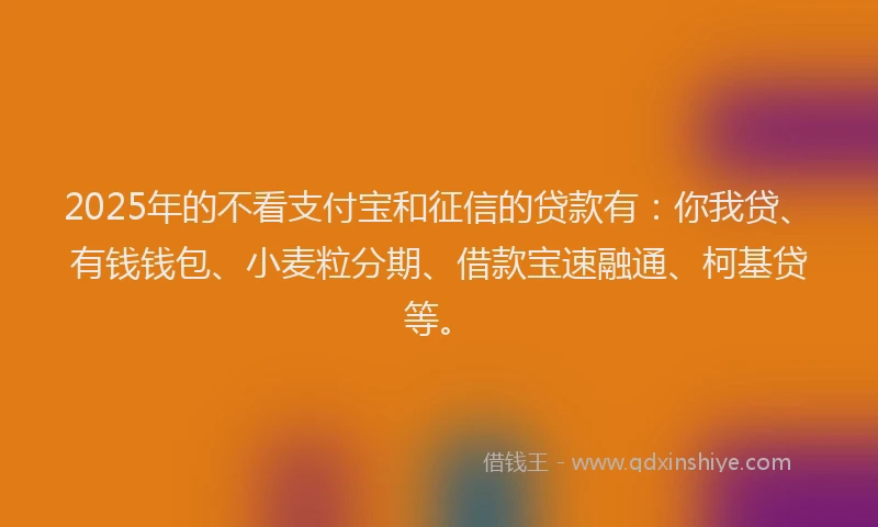 2025年的不看支付宝和征信的贷款有：你我贷、有钱钱包、小麦粒分期、借款宝速融通、柯基贷等。