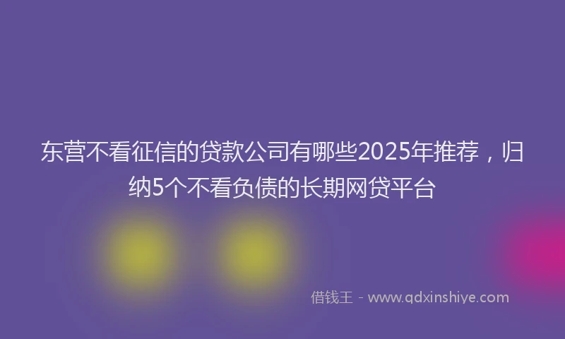 东营不看征信的贷款公司有哪些2025年推荐，归纳5个不看负债的长期网贷平台