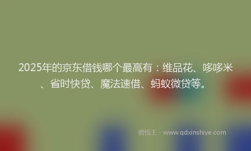 2025年的京东借钱哪个最高有：维品花、哆哆米、省时快贷、魔法速借、蚂蚁微贷等。
