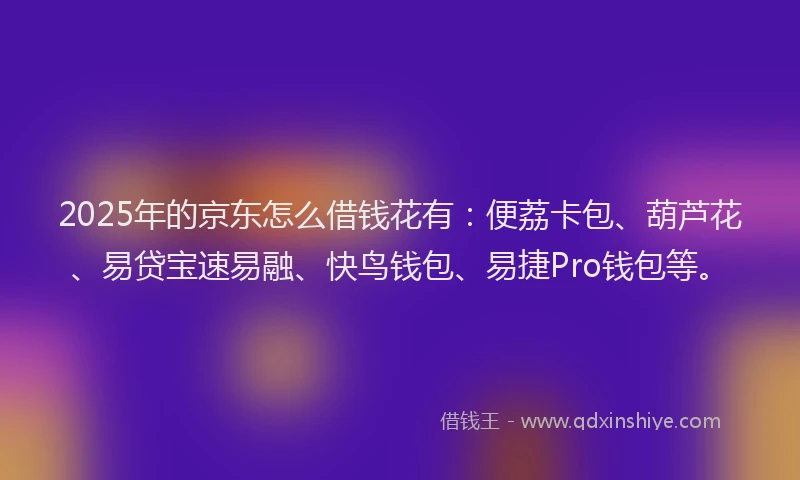 2025年的京东怎么借钱花有：便荔卡包、葫芦花、易贷宝速易融、快鸟钱包、易捷Pro钱包等。