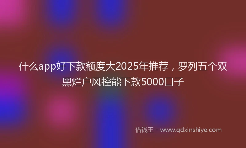 什么app好下款额度大2025年推荐，罗列五个双黑烂户风控能下款5000口子