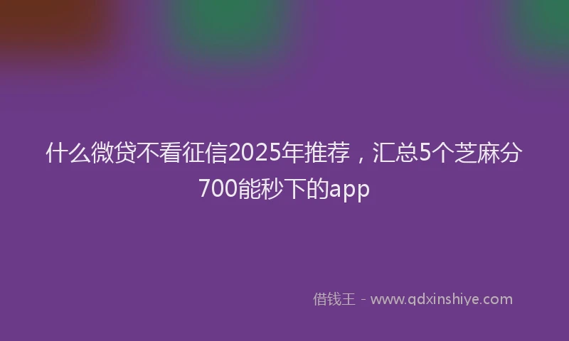 什么微贷不看征信2025年推荐，汇总5个芝麻分700能秒下的app