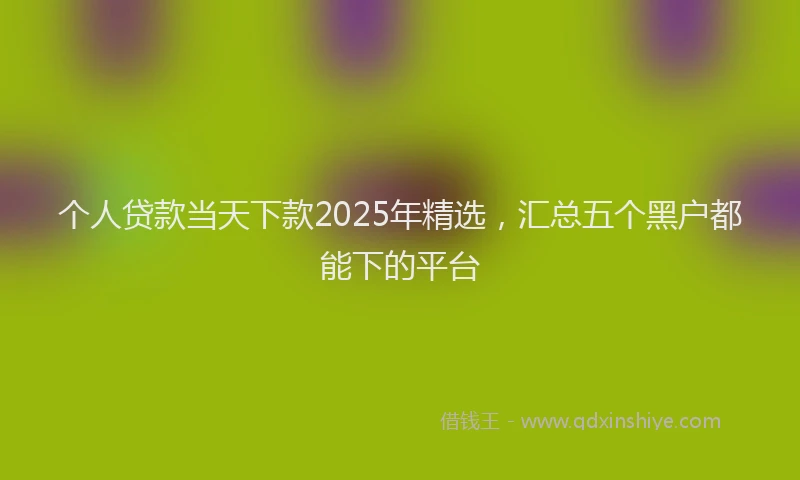 个人贷款当天下款2025年精选，汇总五个黑户都能下的平台