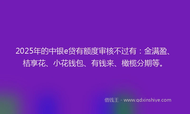 2025年的中银e贷有额度审核不过有：金满盈、桔享花、小花钱包、有钱来、橄榄分期等。