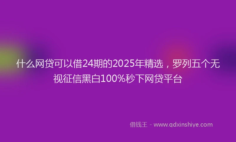 什么网贷可以借24期的2025年精选，罗列五个无视征信黑白100%秒下网贷平台