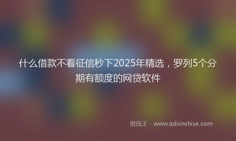 什么借款不看征信秒下2025年精选，罗列5个分期有额度的网贷软件
