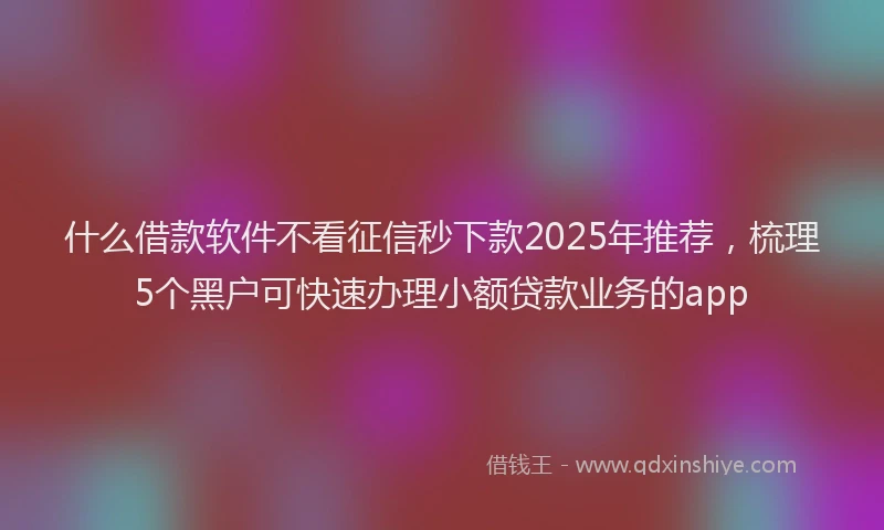 什么借款软件不看征信秒下款2025年推荐，梳理5个黑户可快速办理小额贷款业务的app
