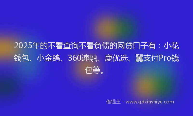 2025年的不看查询不看负债的网贷口子有：小花钱包、小金鸽、360速融、鹿优选、翼支付Pro钱包等。