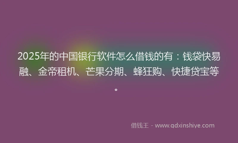 2025年的中国银行软件怎么借钱的有：钱袋快易融、金帝租机、芒果分期、蜂狂购、快捷贷宝等。