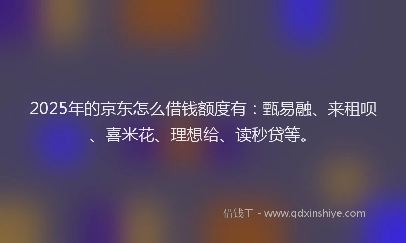 2025年的京东怎么借钱额度有：甄易融、来租呗、喜米花、理想给、读秒贷等。