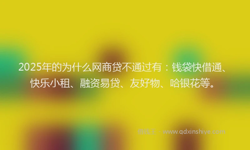 2025年的为什么网商贷不通过有：钱袋快借通、快乐小租、融资易贷、友好物、哈银花等。