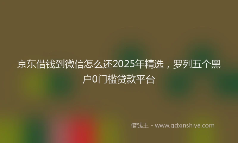 京东借钱到微信怎么还2025年精选，罗列五个黑户0门槛贷款平台