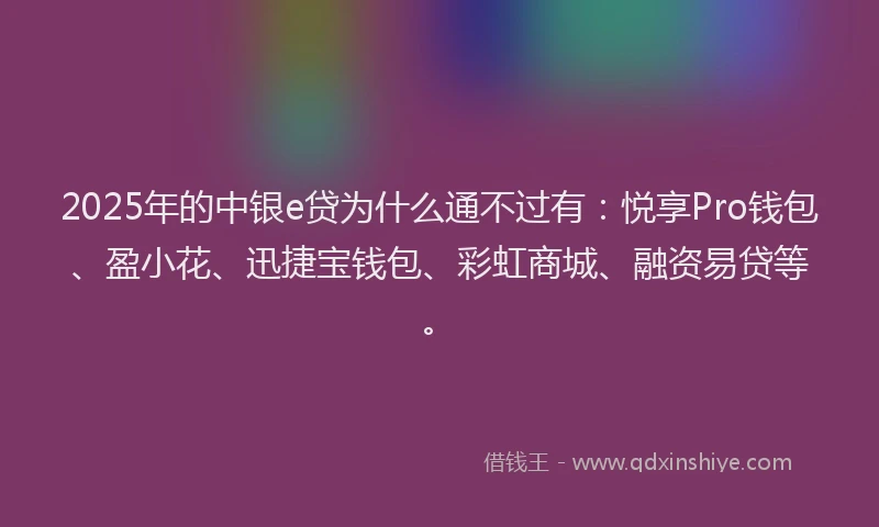 2025年的中银e贷为什么通不过有：悦享Pro钱包、盈小花、迅捷宝钱包、彩虹商城、融资易贷等。