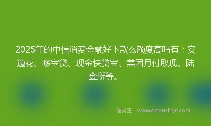 2025年的中信消费金融好下款么额度高吗有：安逸花、哆宝贷、现金快贷宝、美团月付取现、陆金所等。