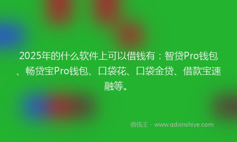 2025年的什么软件上可以借钱有：智贷Pro钱包、畅贷宝Pro钱包、口袋花、口袋金贷、借款宝速融等。