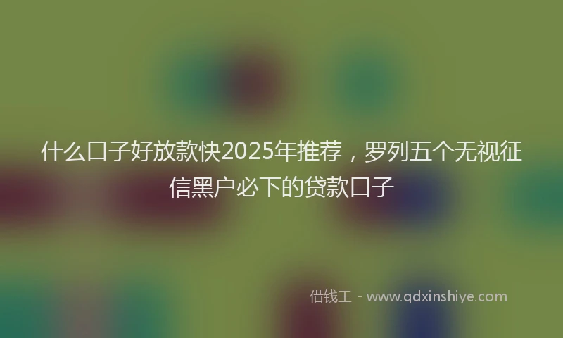 什么口子好放款快2025年推荐，罗列五个无视征信黑户必下的贷款口子