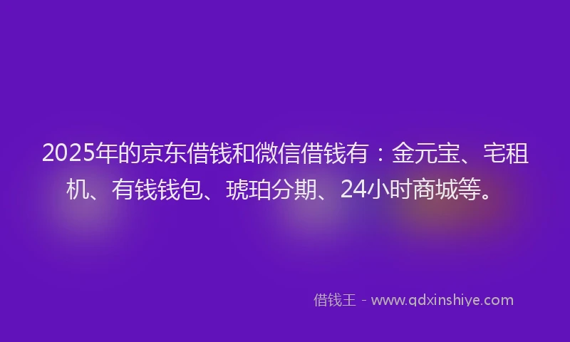 2025年的京东借钱和微信借钱有：金元宝、宅租机、有钱钱包、琥珀分期、24小时商城等。