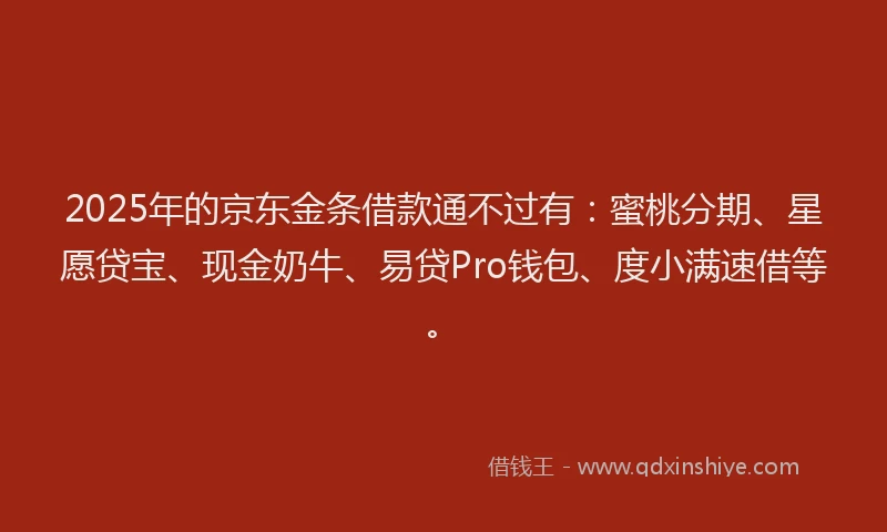2025年的京东金条借款通不过有：蜜桃分期、星愿贷宝、现金奶牛、易贷Pro钱包、度小满速借等。