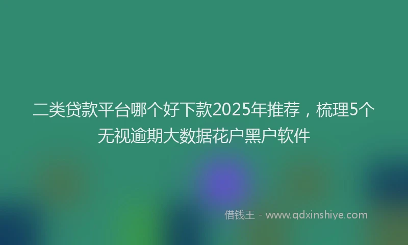 二类贷款平台哪个好下款2025年推荐，梳理5个无视逾期大数据花户黑户软件
