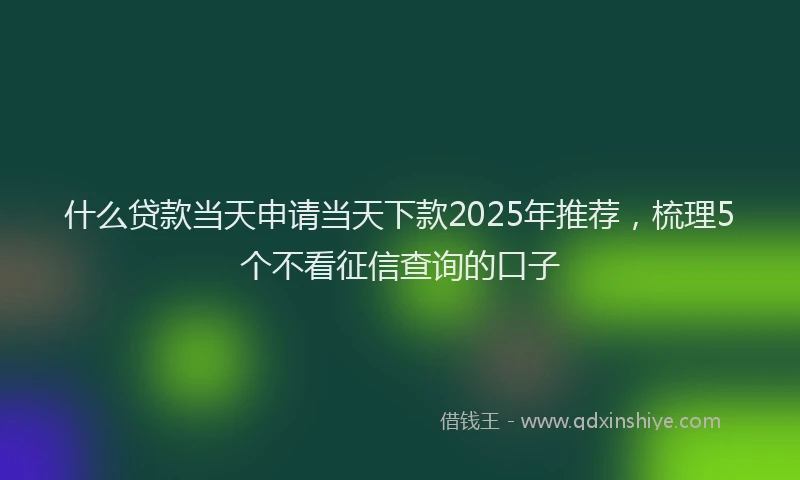 什么贷款当天申请当天下款2025年推荐，梳理5个不看征信查询的口子