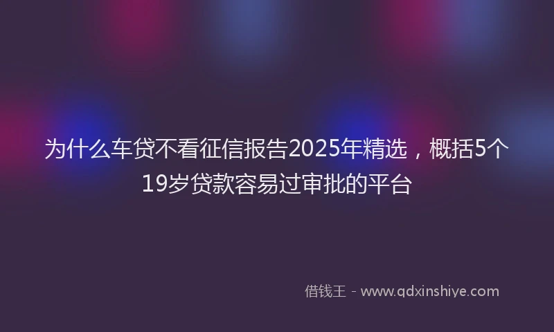 为什么车贷不看征信报告2025年精选，概括5个19岁贷款容易过审批的平台