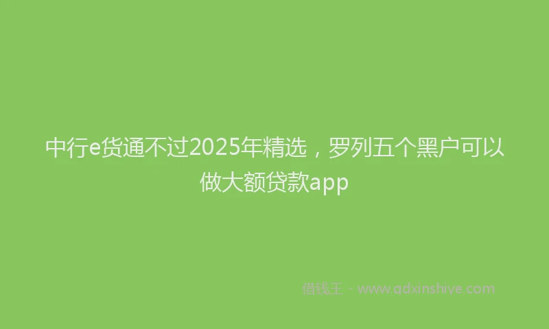 中行e货通不过2025年精选，罗列五个黑户可以做大额贷款app