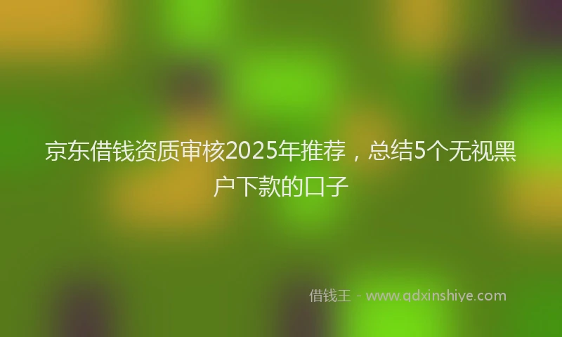 京东借钱资质审核2025年推荐，总结5个无视黑户下款的口子