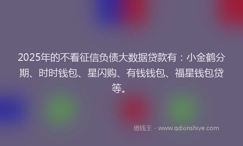 2025年的不看征信负债大数据贷款有：小金鹤分期、时时钱包、星闪购、有钱钱包、福星钱包贷等。