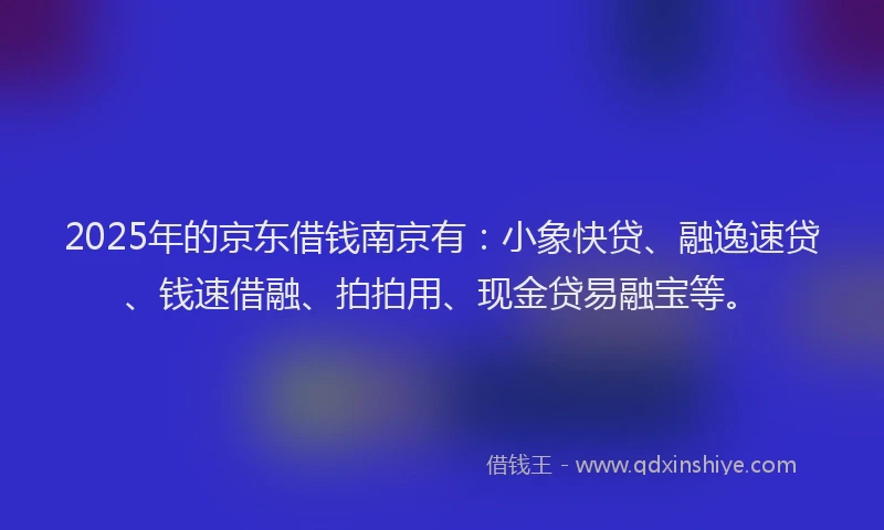 2025年的京东借钱南京有：小象快贷、融逸速贷、钱速借融、拍拍用、现金贷易融宝等。