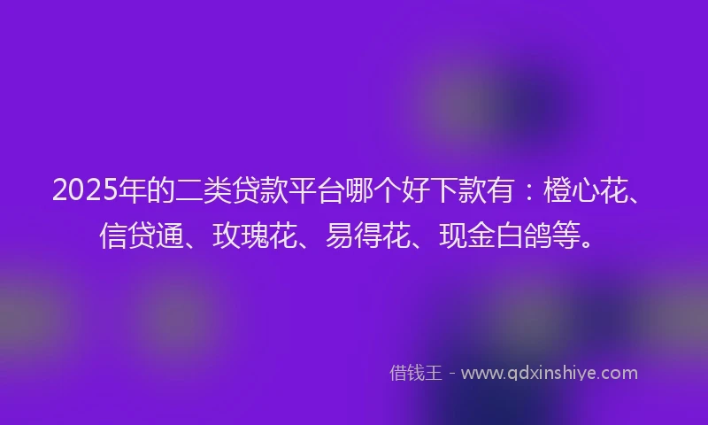 2025年的二类贷款平台哪个好下款有：橙心花、信贷通、玫瑰花、易得花、现金白鸽等。
