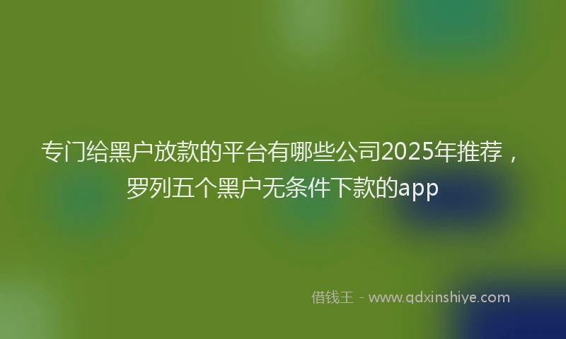 专门给黑户放款的平台有哪些公司2025年推荐，罗列五个黑户无条件下款的app