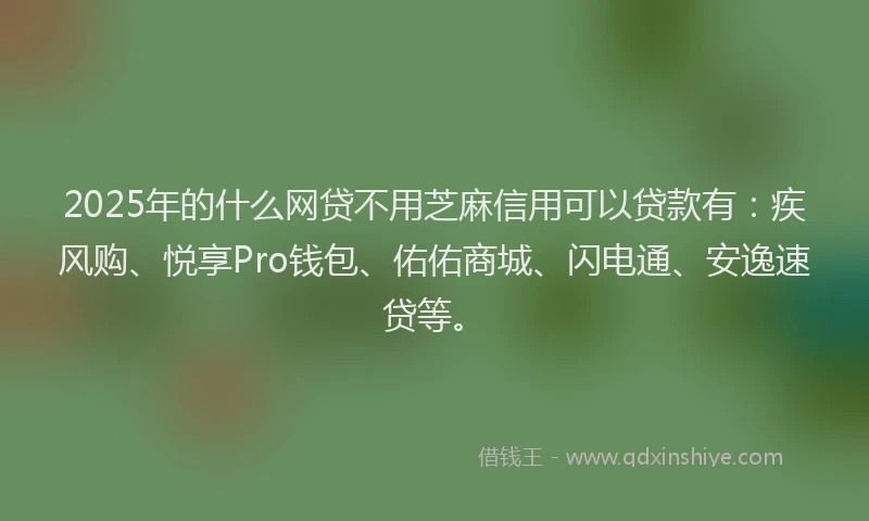 2025年的什么网贷不用芝麻信用可以贷款有：疾风购、悦享Pro钱包、佑佑商城、闪电通、安逸速贷等。