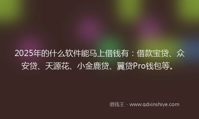 2025年的什么软件能马上借钱有：借款宝贷、众安贷、天源花、小金鹿贷、翼贷Pro钱包等。
