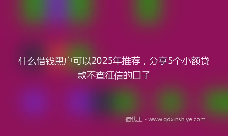 什么借钱黑户可以2025年推荐，分享5个小额贷款不查征信的口子