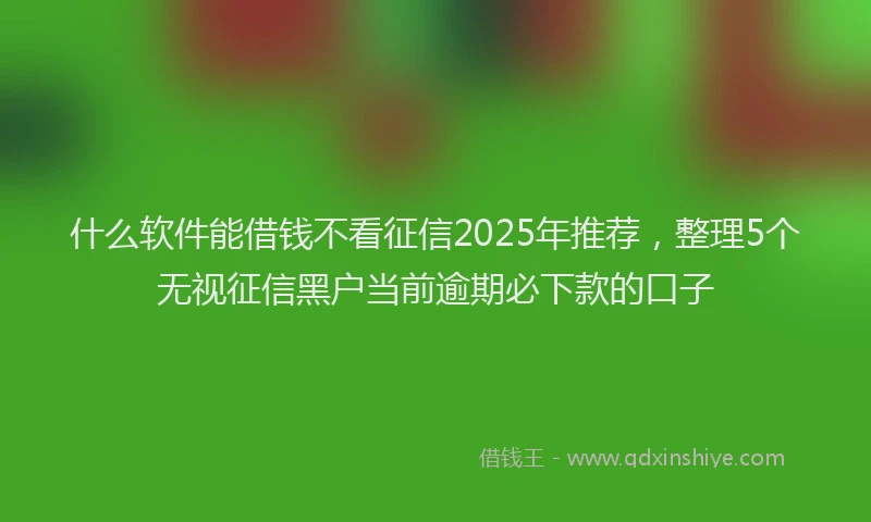 什么软件能借钱不看征信2025年推荐，整理5个无视征信黑户当前逾期必下款的口子