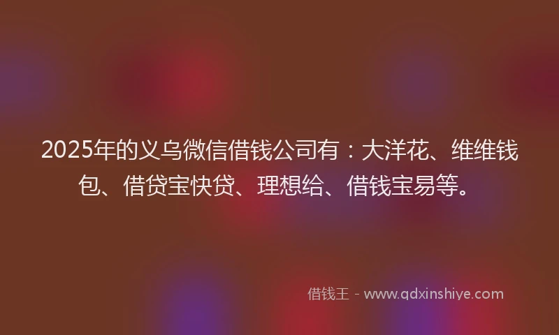 2025年的义乌微信借钱公司有：大洋花、维维钱包、借贷宝快贷、理想给、借钱宝易等。