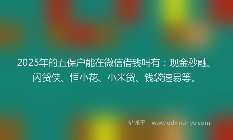 2025年的五保户能在微信借钱吗有：现金秒融、闪贷侠、恒小花、小米贷、钱袋速易等。
