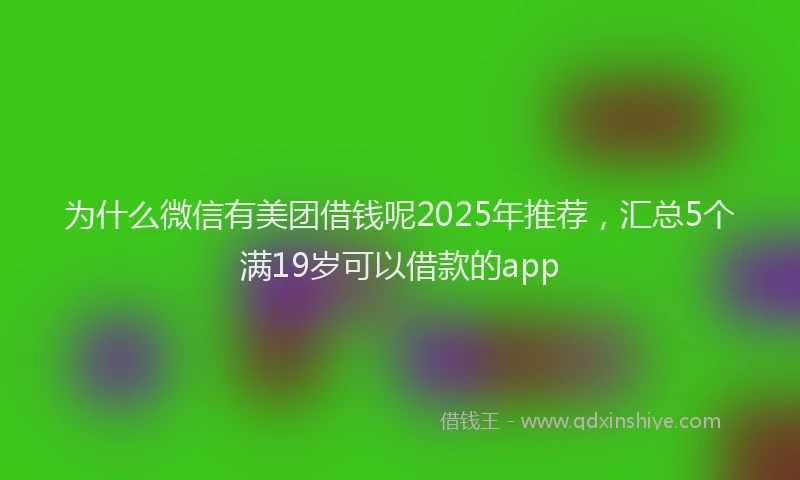 为什么微信有美团借钱呢2025年推荐，汇总5个满19岁可以借款的app