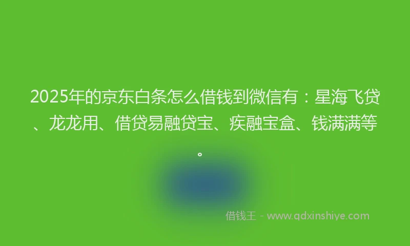 2025年的京东白条怎么借钱到微信有：星海飞贷、龙龙用、借贷易融贷宝、疾融宝盒、钱满满等。
