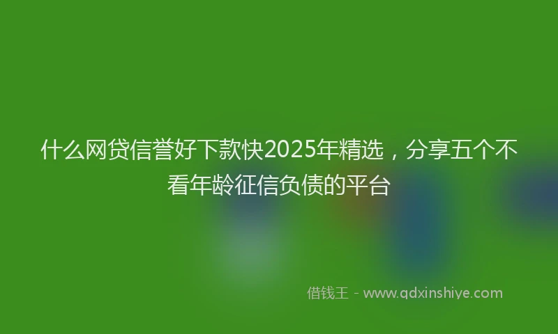 什么网贷信誉好下款快2025年精选，分享五个不看年龄征信负债的平台