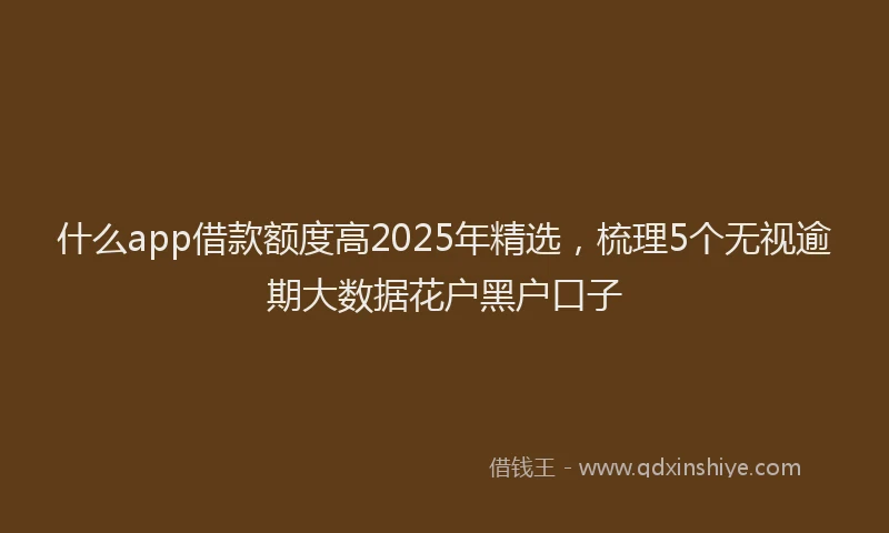 什么app借款额度高2025年精选，梳理5个无视逾期大数据花户黑户口子