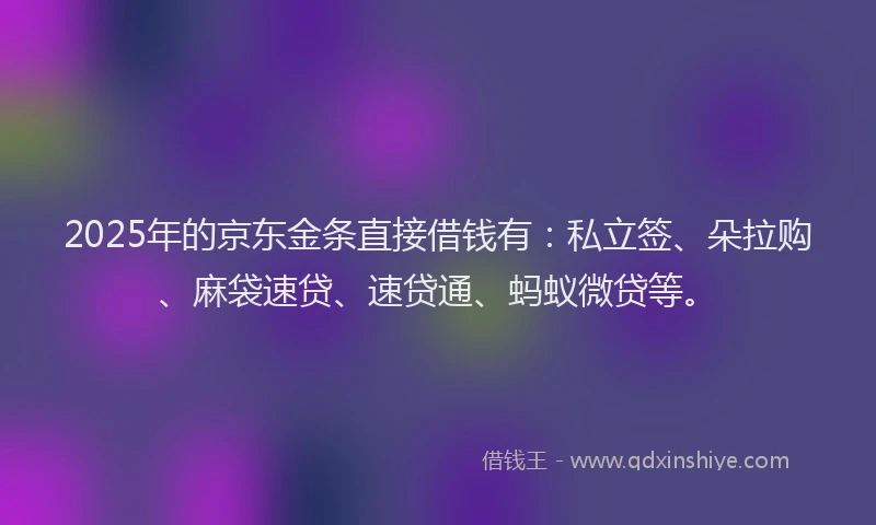 2025年的京东金条直接借钱有：私立签、朵拉购、麻袋速贷、速贷通、蚂蚁微贷等。